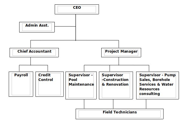 Aqua Blue organisation chart: CEO, project manager, supervisors and field technicians
