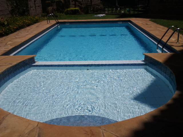 Rectangular pool with a wide shallow-end step and stone coping