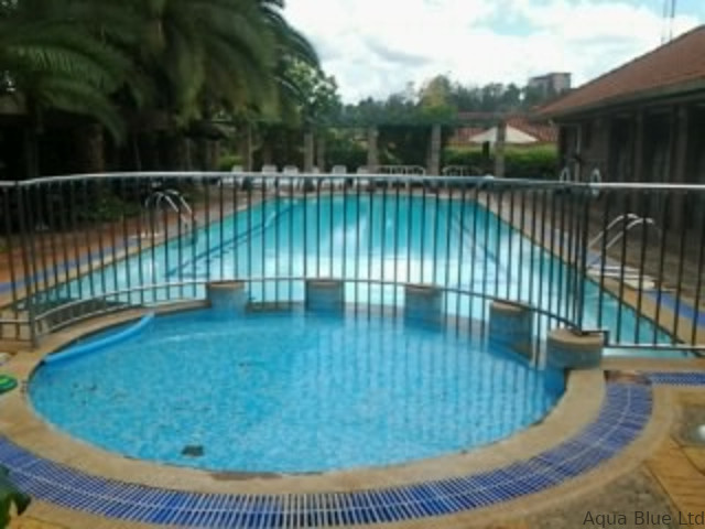 Swimming pool with a children's wading pool and safety railing