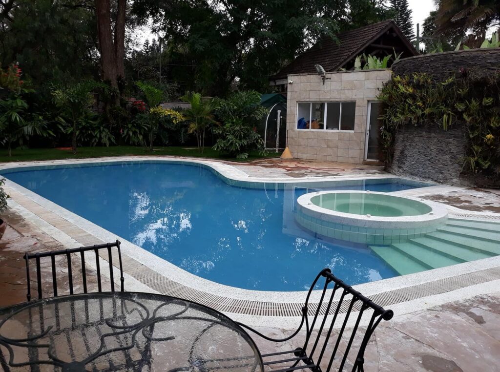 Medium size free-form swimming pool with a spa